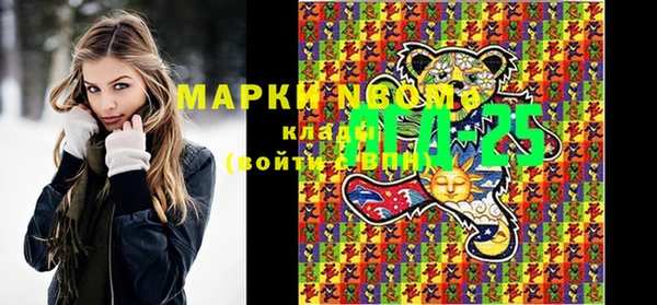 хмурый Алексин