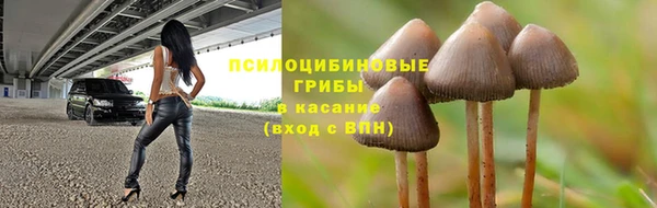 хмурый Алексин