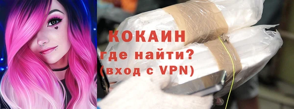 хмурый Алексин