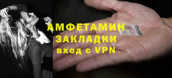 хмурый Алексин