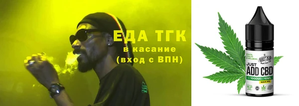 хмурый Алексин