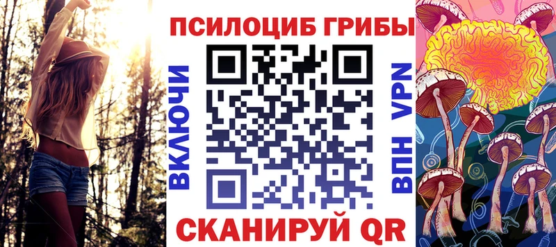 Псилоцибиновые грибы ЛСД  МЕГА сайт  Чадан  где продают  