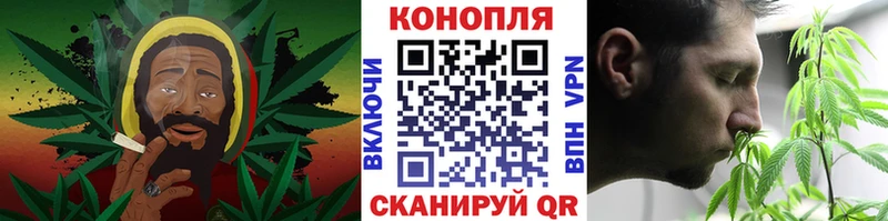 Бошки Шишки MAZAR  Чадан 